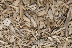 biomass boilers Hungerton